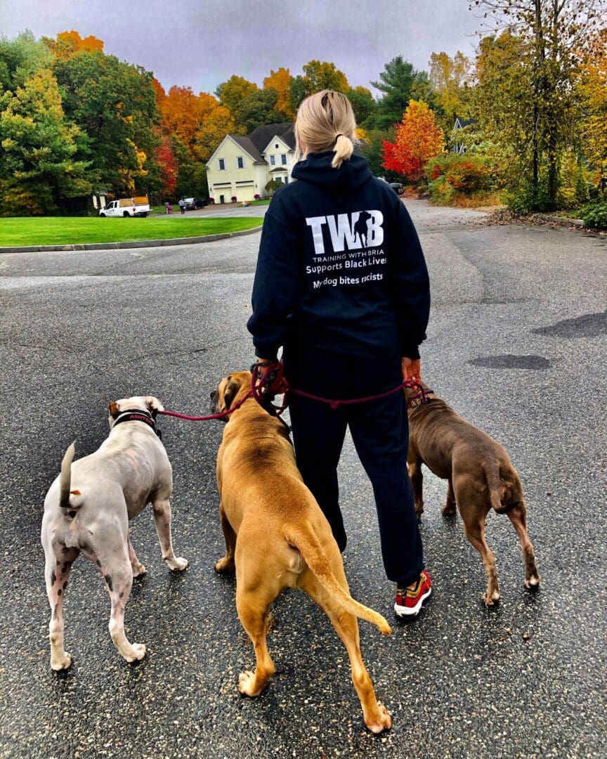 A person standing on the side of a road with two dogs.